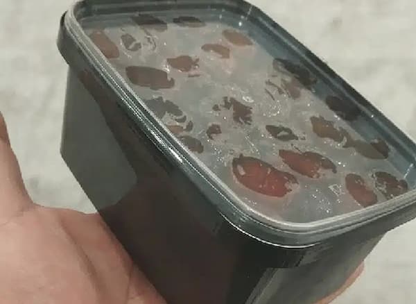 تصویر 4 از قیمت خرید خرما خاصویی سطلی با فروش عمده